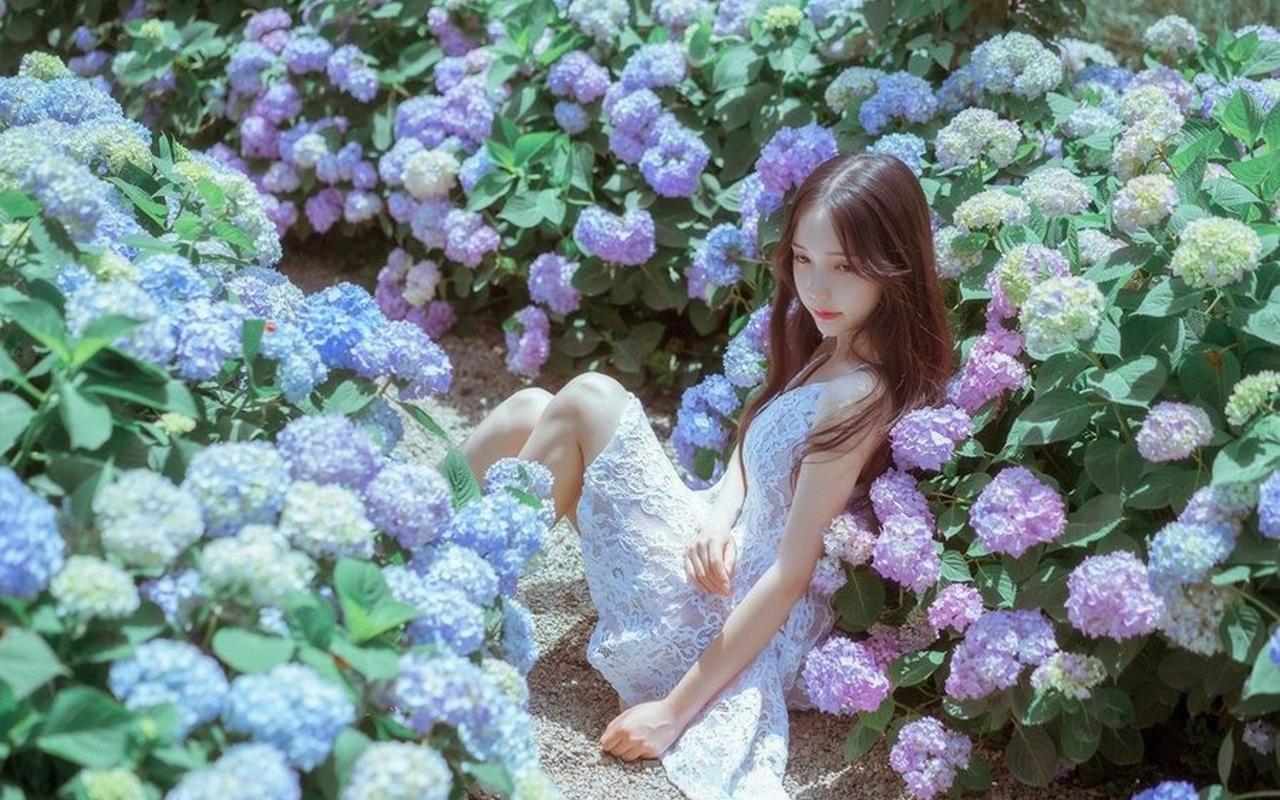 湖北神农架金丝猴家族“添丁加口”